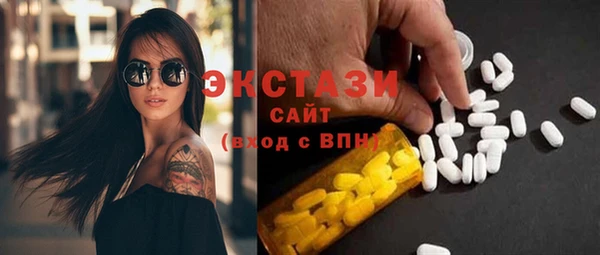 индика Ельня