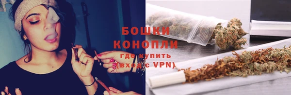 дурь Заводоуковск