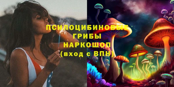 дурь Заводоуковск