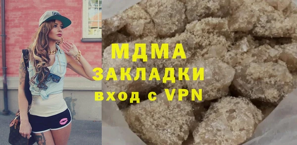 прущие грибы Елабуга