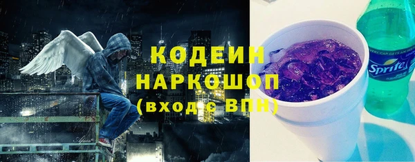дурь Заводоуковск