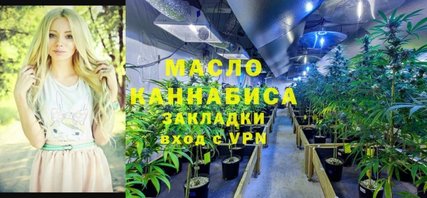 дурь Заводоуковск